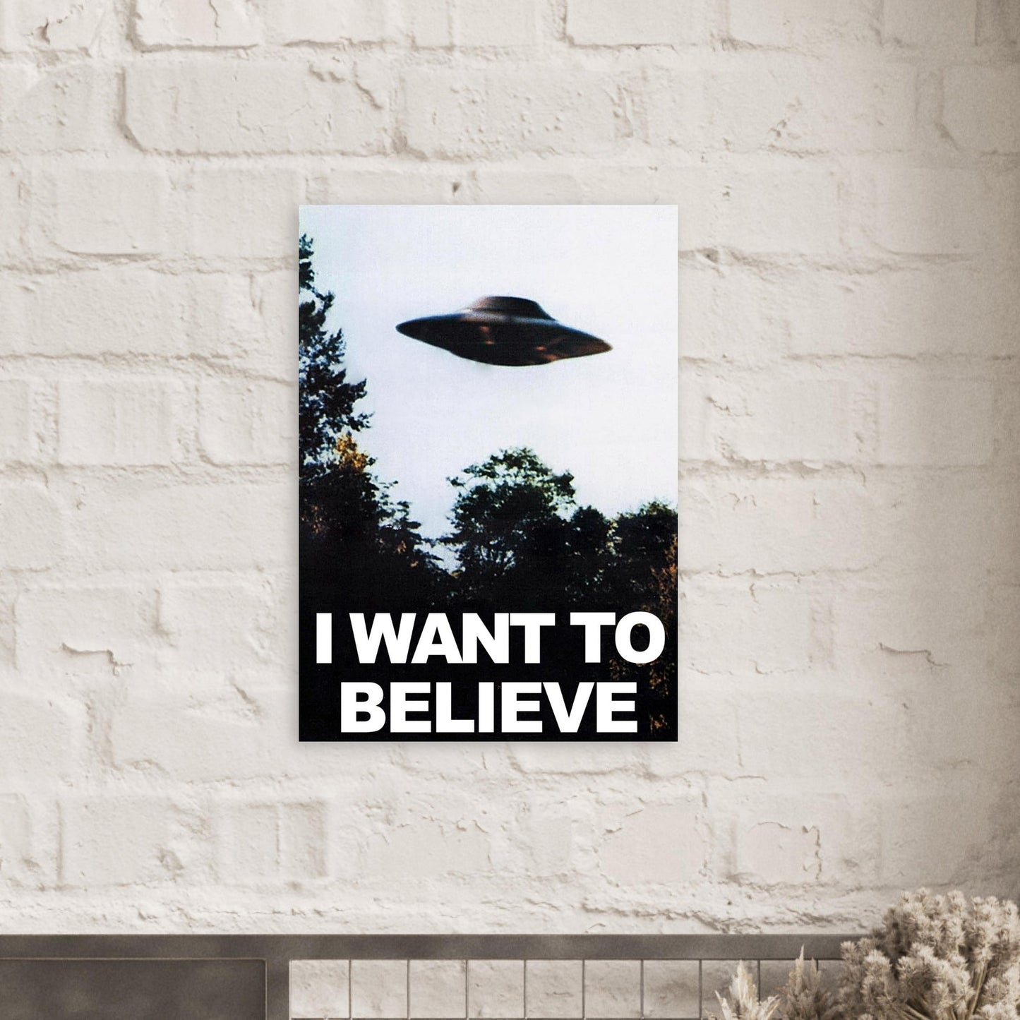 UFO “I Want To Believe” Style Poster - Rampage Design Studio