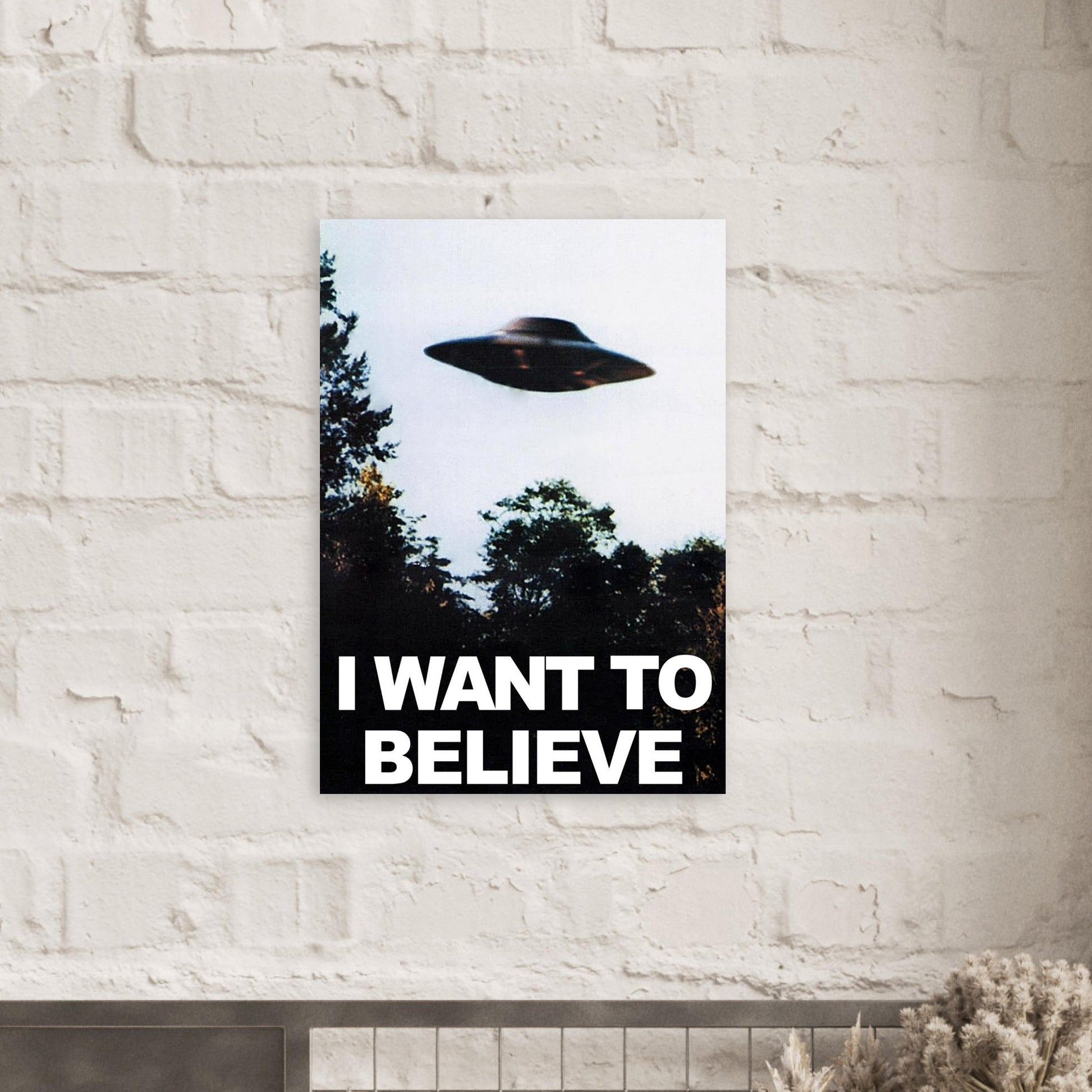 UFO “I Want To Believe” Style Poster - Rampage Design Studio