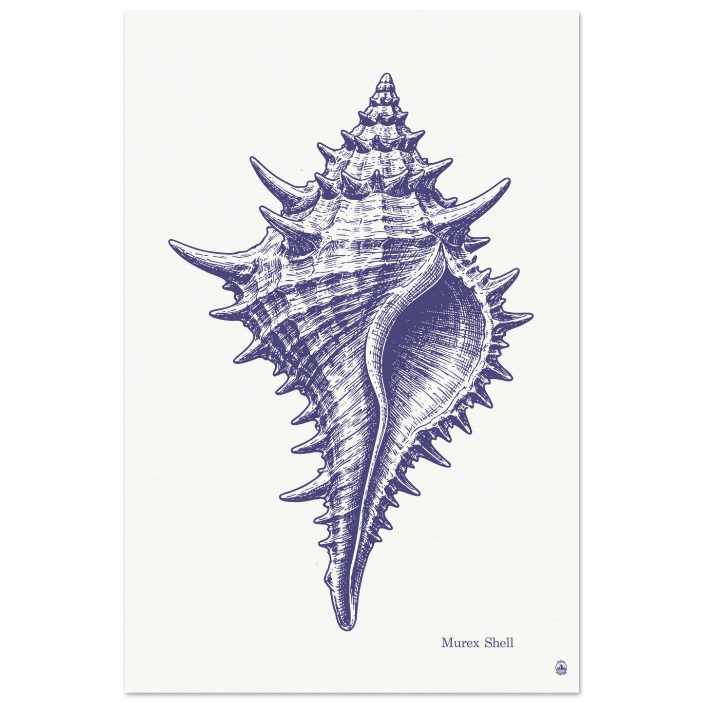 Murex Shell Wall Art | Vintage Marine Illustration Print - Rampage Design Studio