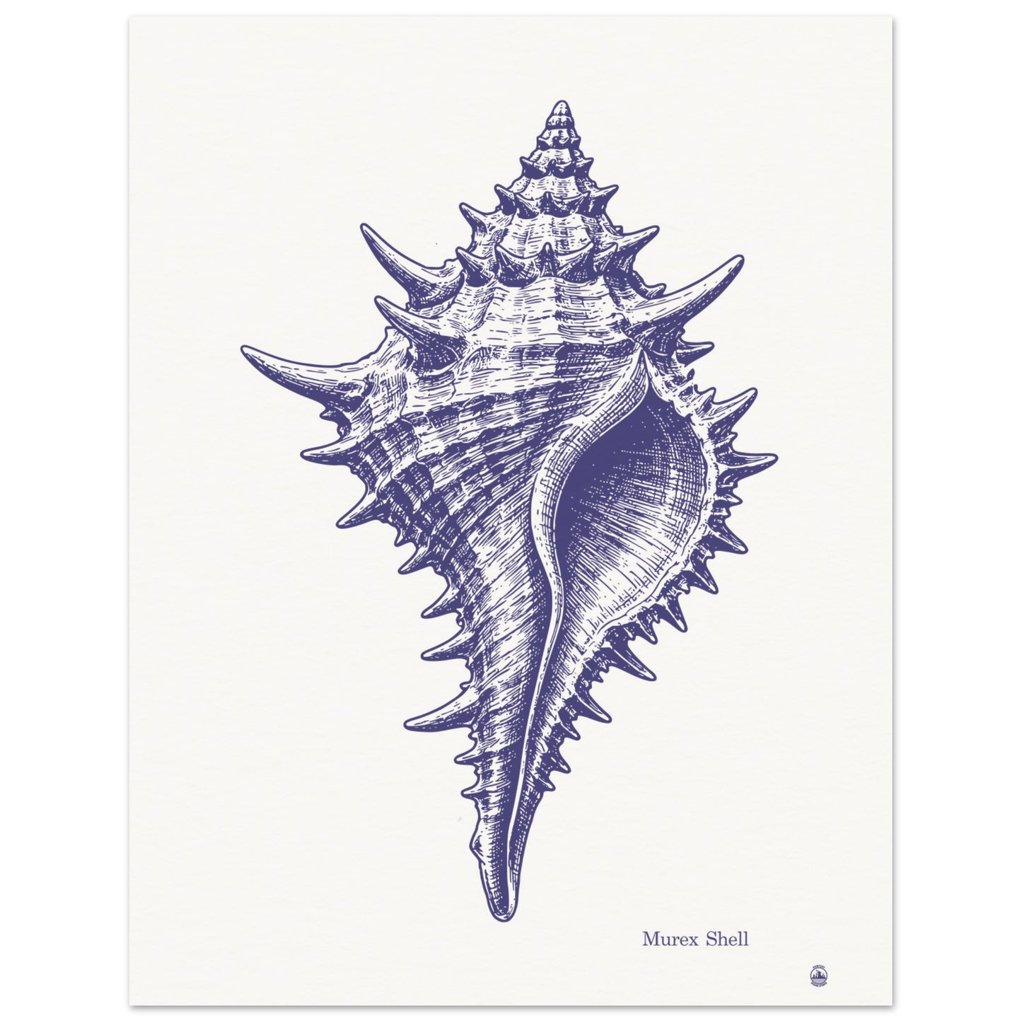 Murex Shell Wall Art | Vintage Marine Illustration Print - Rampage Design Studio