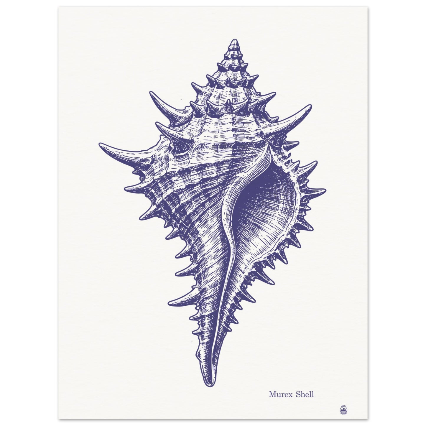 Murex Shell Wall Art | Vintage Marine Illustration Print - Rampage Design Studio