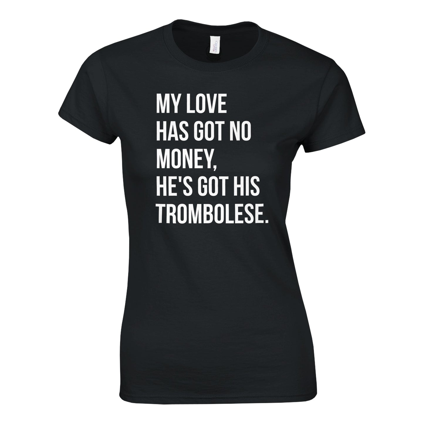 Funny Misheard Lyrics T-Shirt – Women's Gildan 64000L, Eco-Friendly, Soft Cotton Tee - Rampage Design Studio