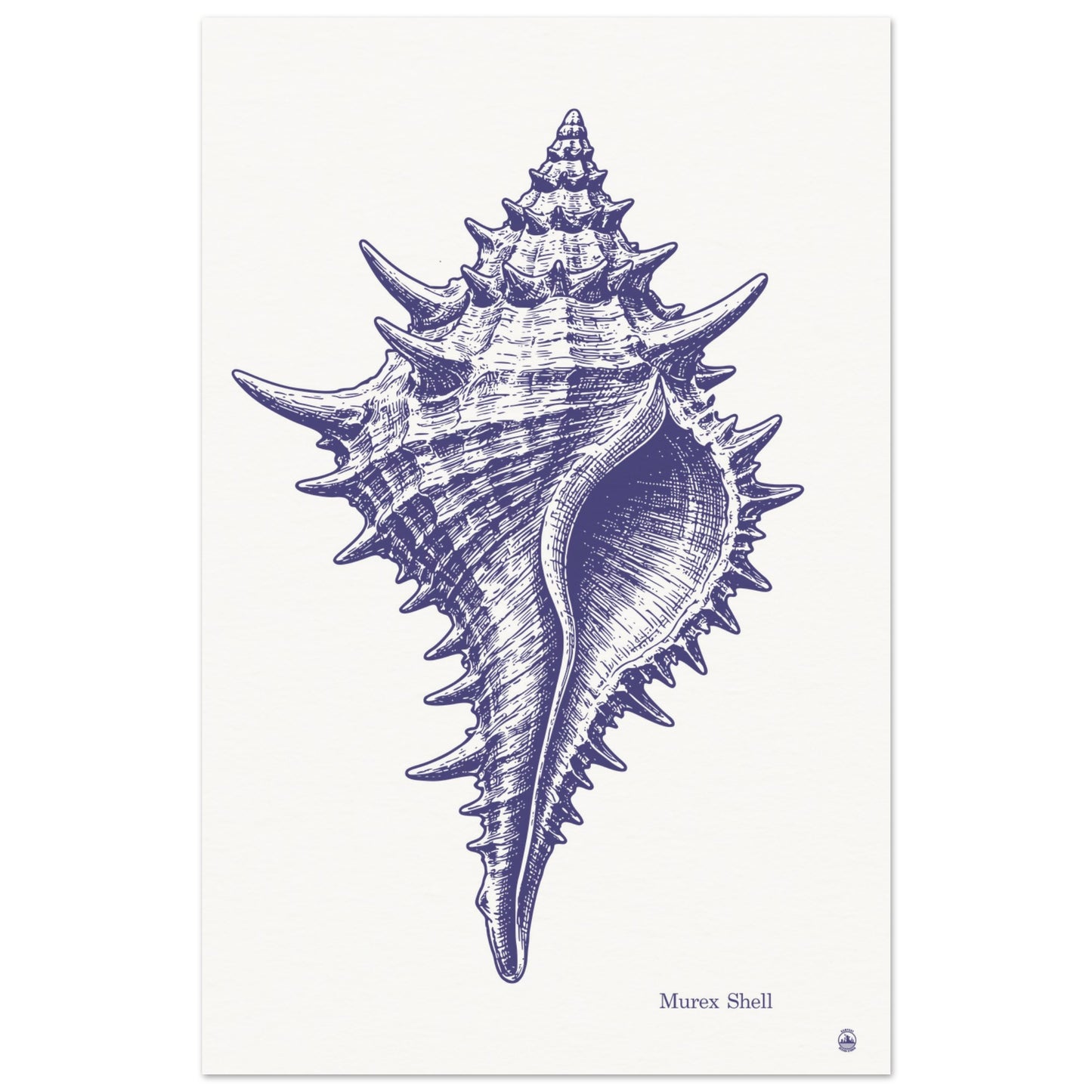 Murex Shell Wall Art | Vintage Marine Illustration Print - Rampage Design Studio