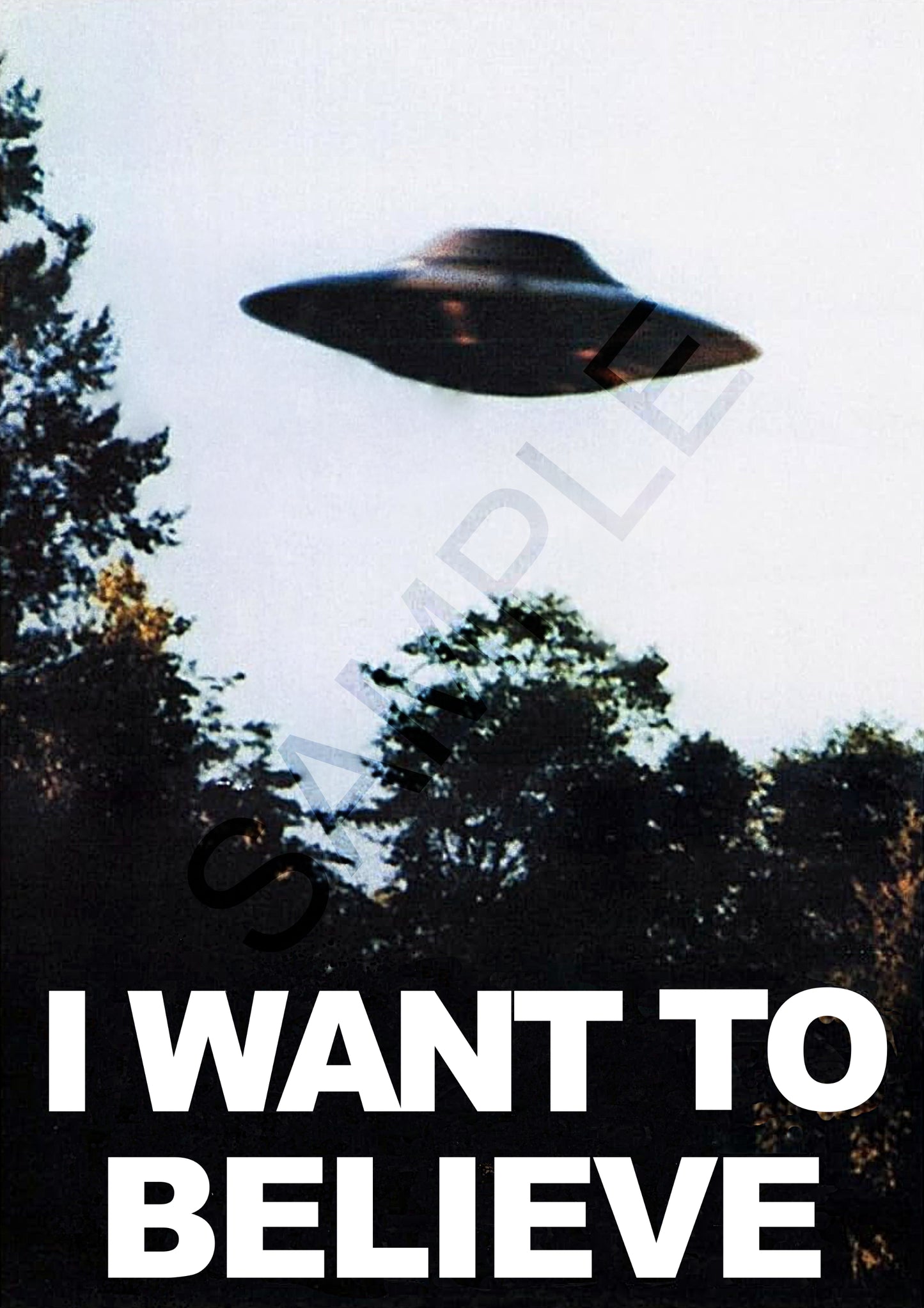 UFO “I Want To Believe” Style Poster